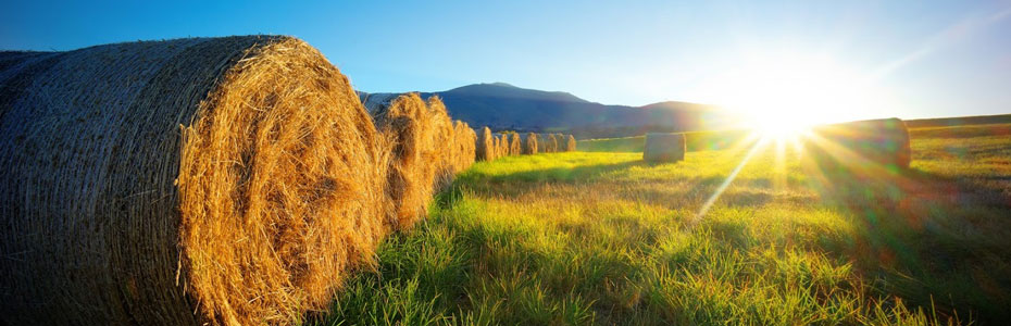 Ubezpieczenia rolnicze
